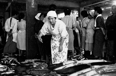 鮮魚セリ市場の画像2
