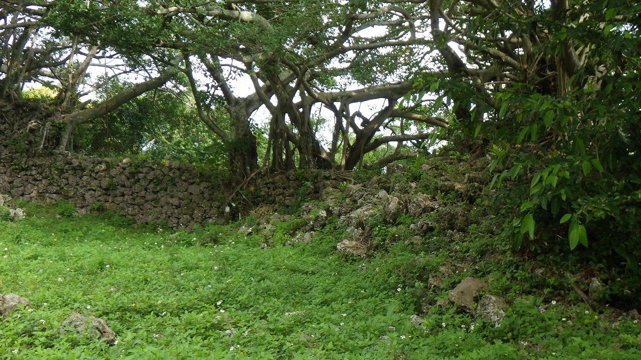南山石垣縮２