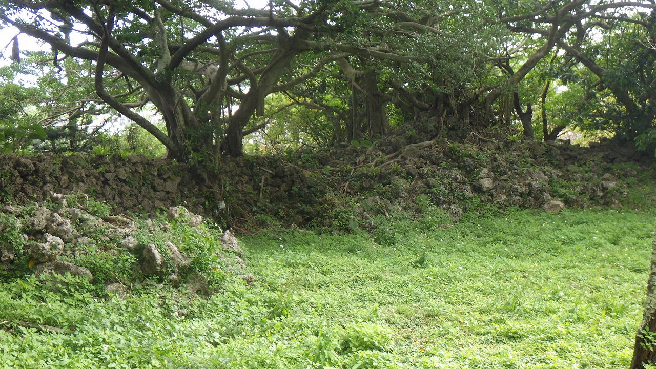 南山石垣縮３