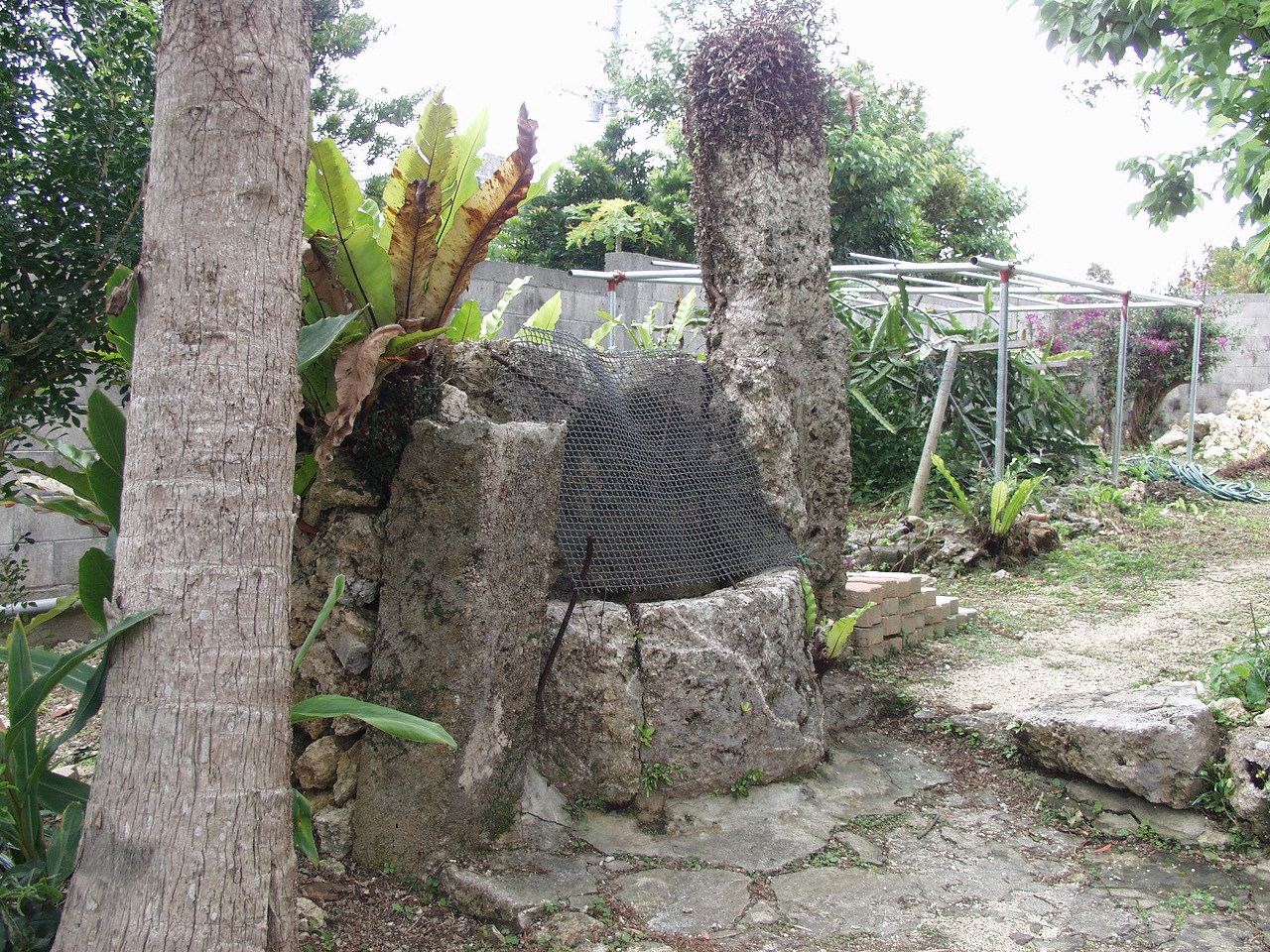 井戸縮２