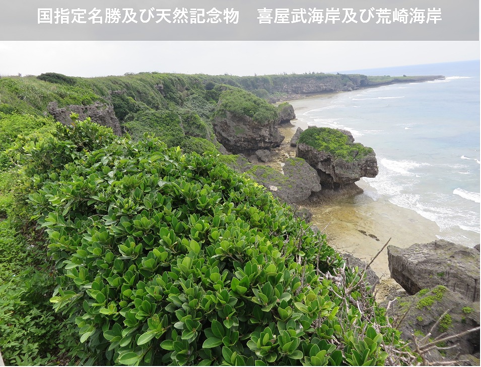 喜屋武・荒崎加工縮
