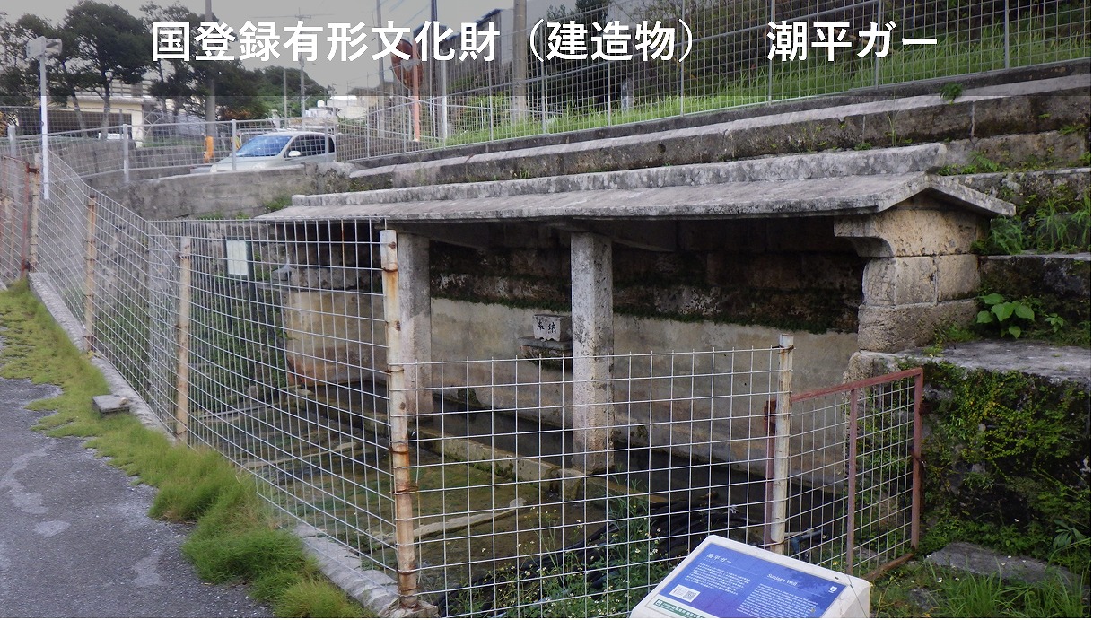 潮平ガー加工縮