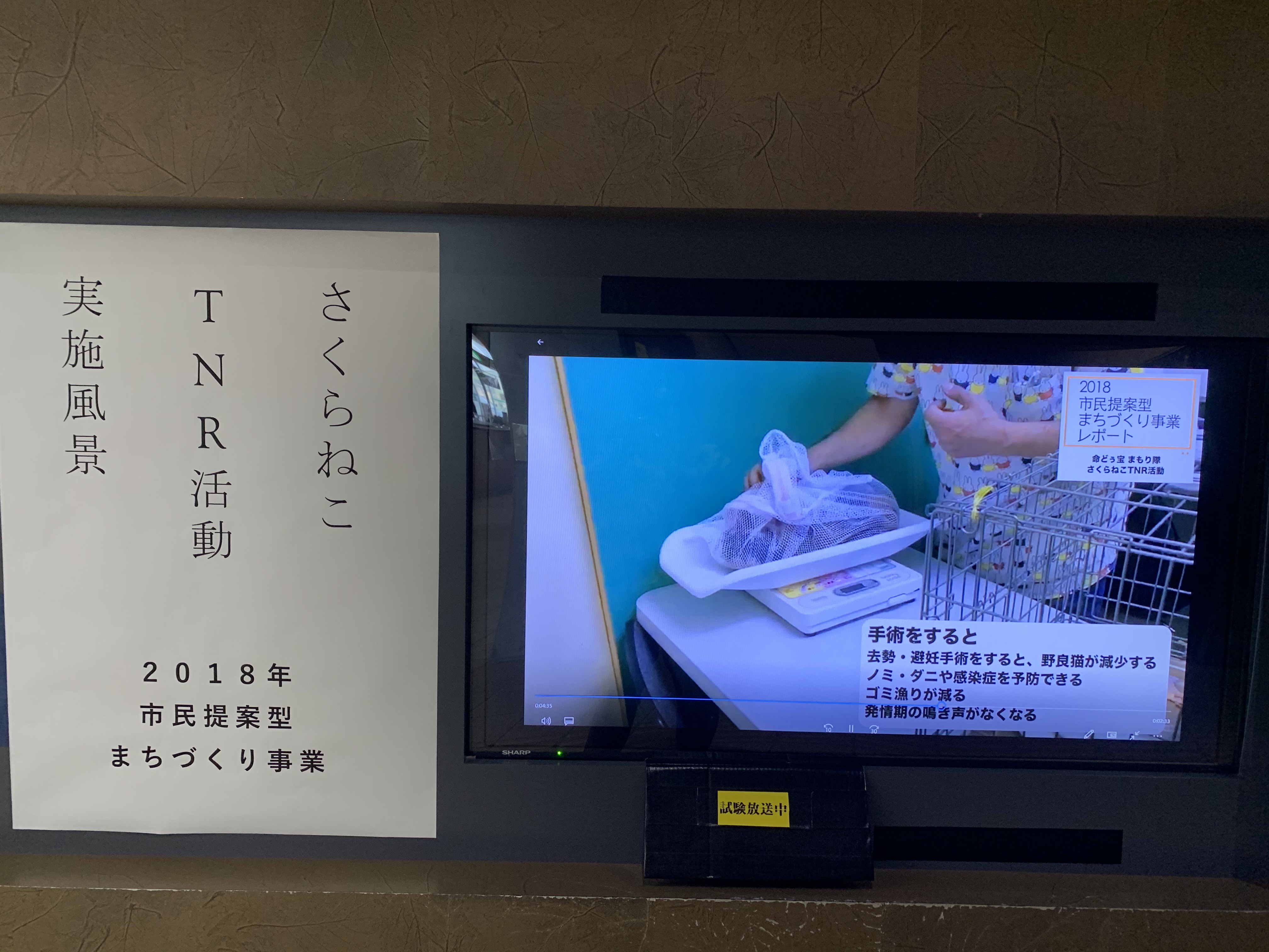 TNR写真４