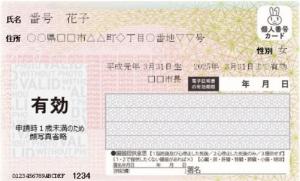 顔写真なしマイナンバーカード_イメージ_表