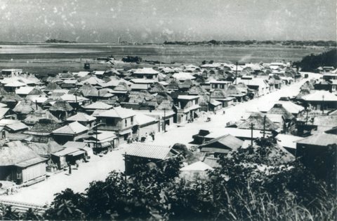 山巓毛1