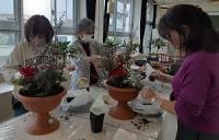 寄せ植え
