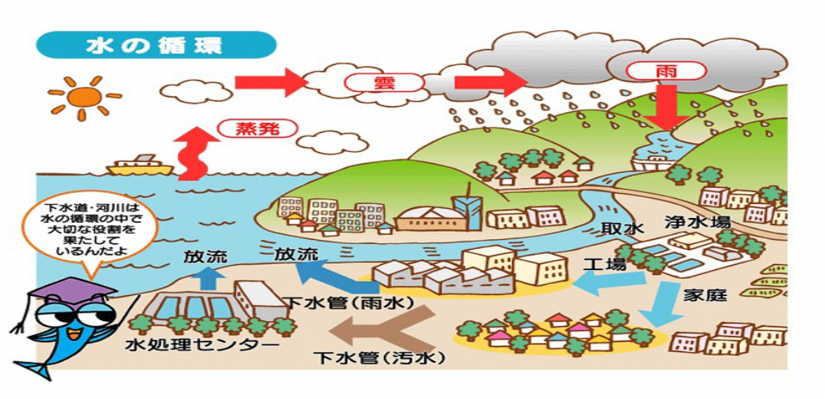水の循環図