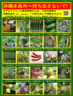 本島外出荷規制作物一覧