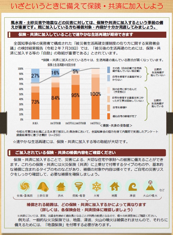内閣府リーフレット抜粋