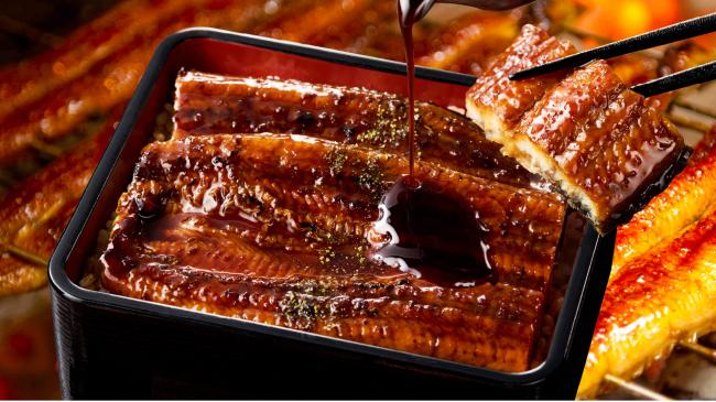 うなぎイメージ