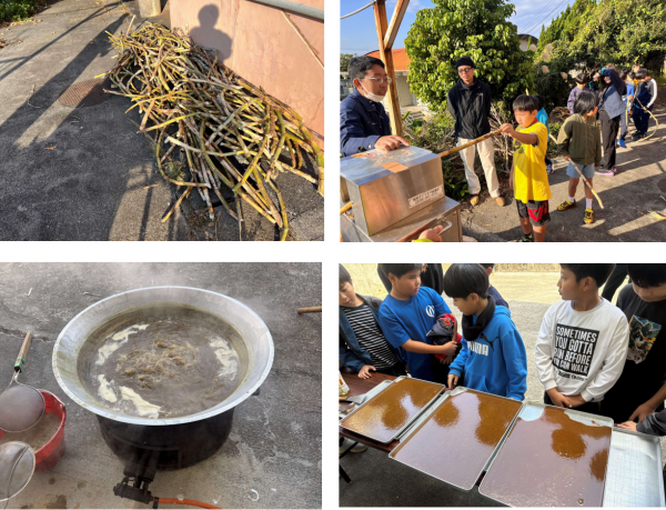 さとうびき写真