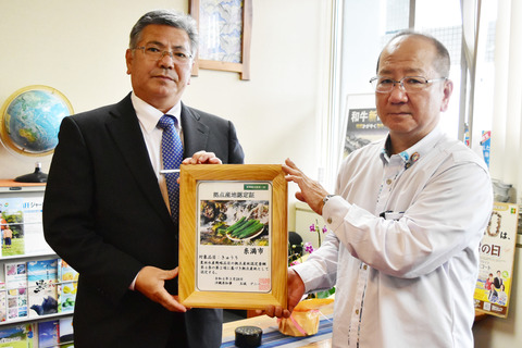 県内生産量1位！糸満産「きゅうり」拠点産地認定の画像2