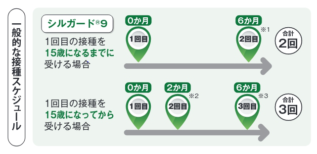 HPV接種スケジュール