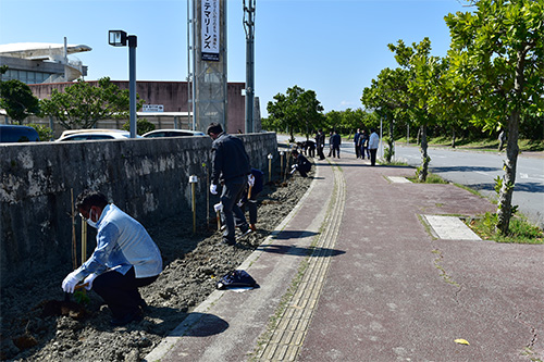 市制施行50周年事業で桜の植樹の画像3