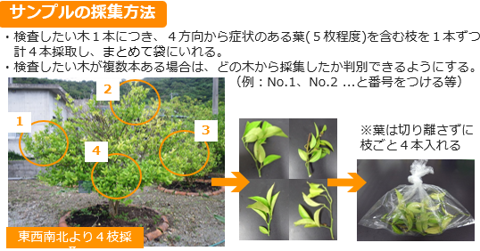 サンプルの採取方法
