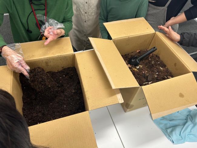 堆肥化された生ごみを観察する様子