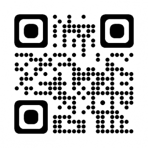 「Decidim（デシディム）」