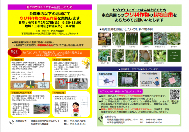 セグロウリミバエ対象作物の果実除去について